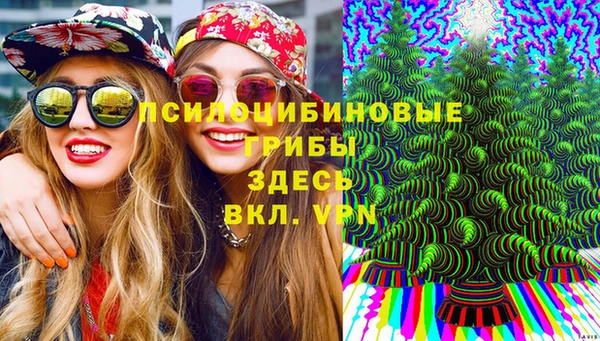 мяу мяу кристалл Дмитров
