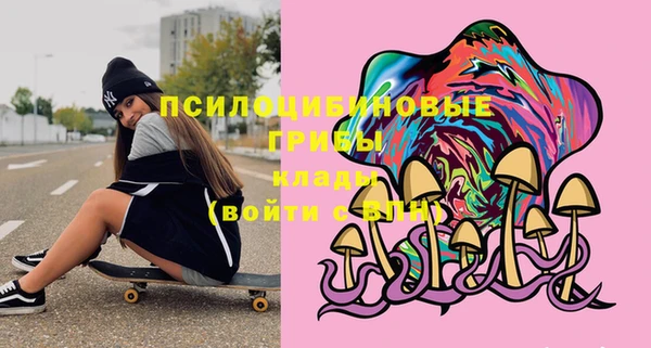 2c-b Дмитриев